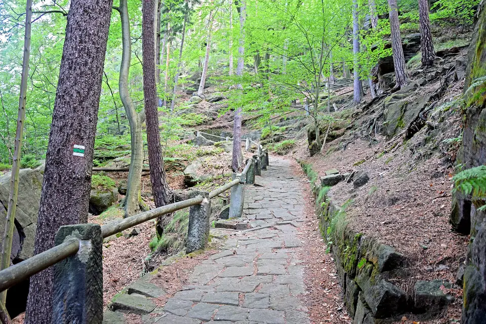 Wandelpad door bos en rotsen boven Hřensko
