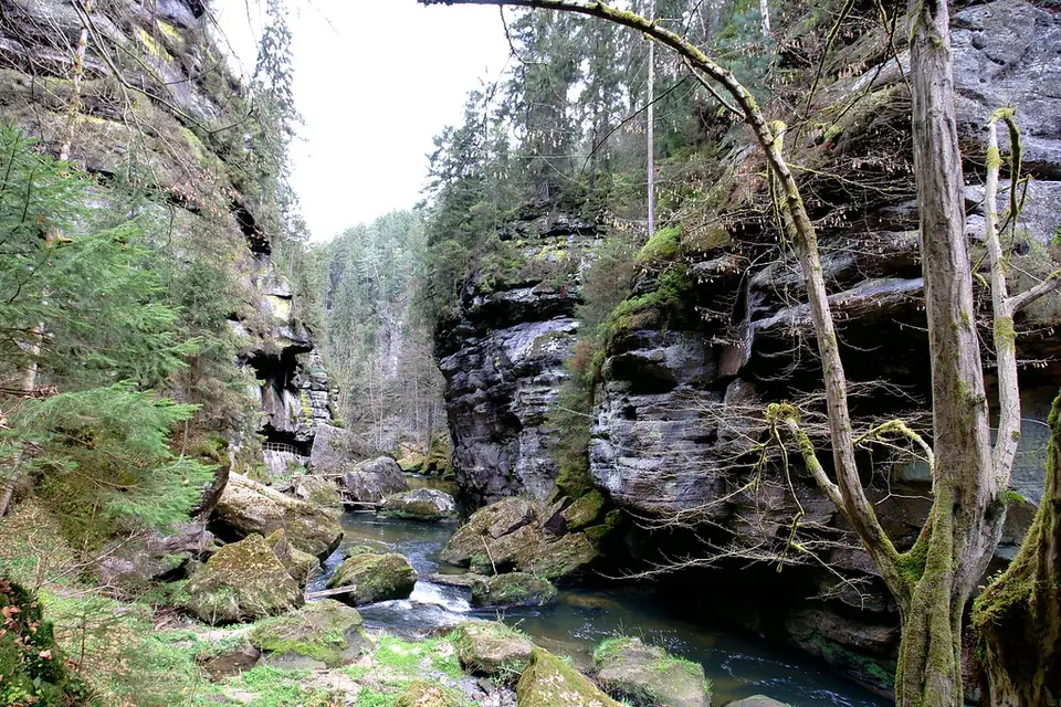 Felswände im Tal der Kamnitz