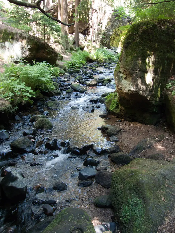 Die Kirnitzsch (Křinice) am Vinný sklep im Khaatal