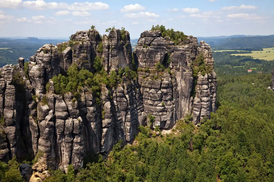 Die Felswände der Schrammsteine über dem Wald